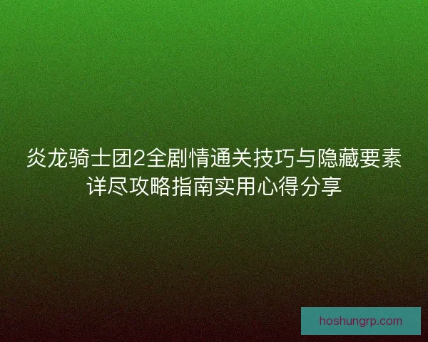炎龙骑士团2全剧情通关技巧与隐藏要素详尽攻略指南实用心得分享